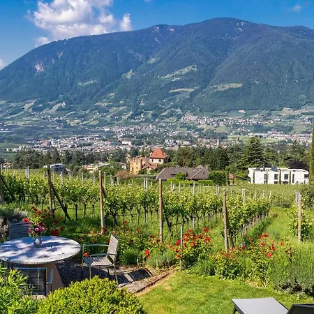 Sauvignon * Merano